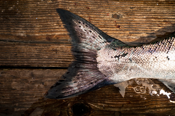 20110618_fam_trip_046-Edit